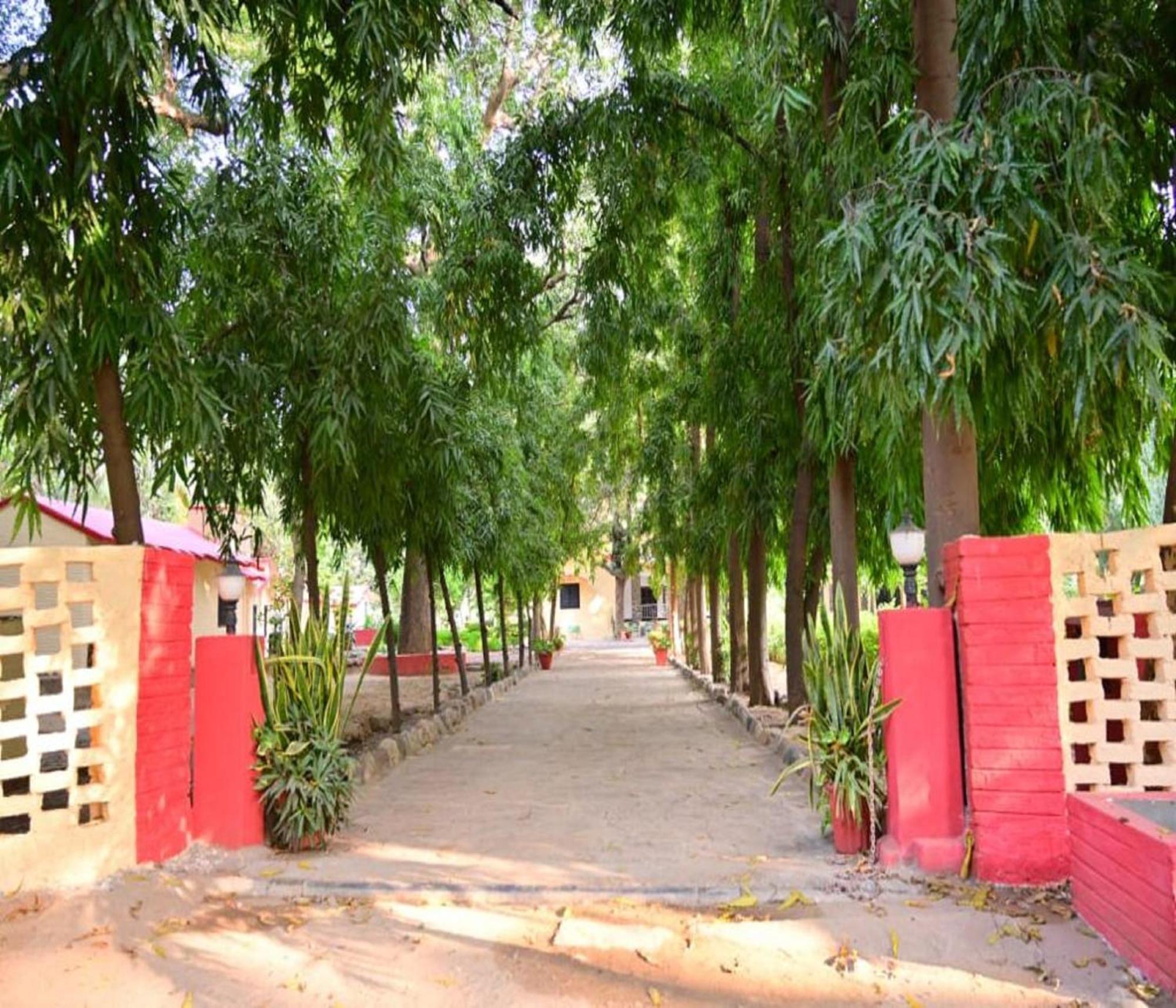 Leopard'S Lair Jungle Lodge Bisalpur Luaran gambar